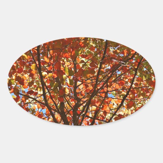 Herfstbladeren Vuurwerk Ovale Sticker (Voorkant)