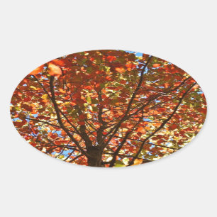 Herfstbladeren Vuurwerk Ovale Sticker