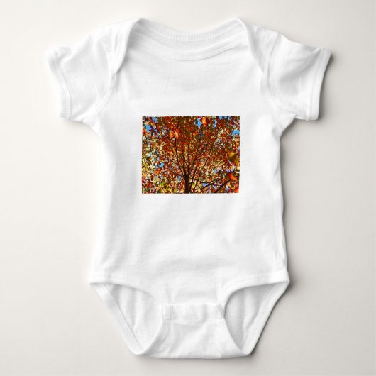 Herfstbladeren Vuurwerk Romper (Voorkant)