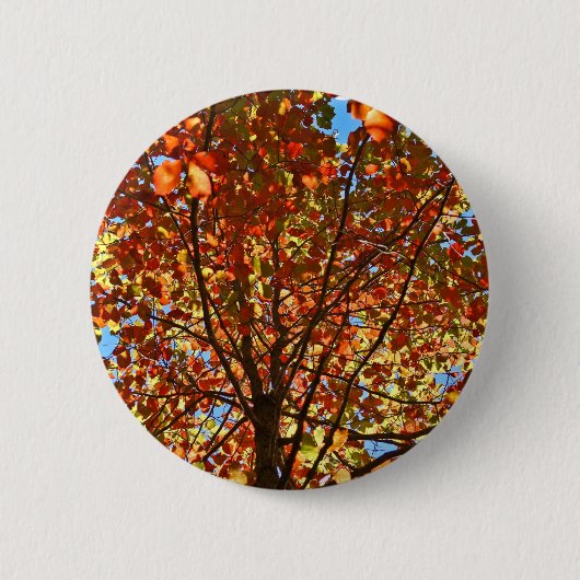 Herfstbladeren Vuurwerk Ronde Button 5,7 Cm (Voorkant)