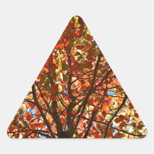 Herfstbladeren Vuurwerk Sticker