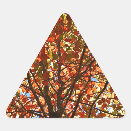Herfstbladeren Vuurwerk Sticker (Voorkant)