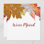 Herfstbladeren We hebben verhuisd Aankondiging Kaa (Voorkant / Achterkant)