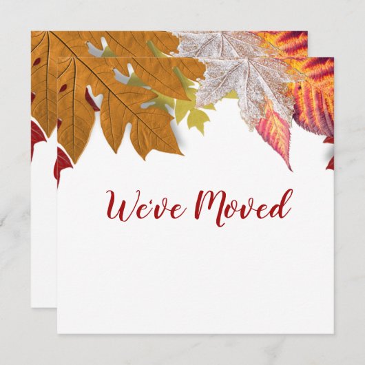 Herfstbladeren We hebben verhuisd Aankondiging Kaa (Voorkant / Achterkant)