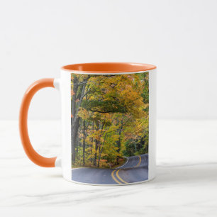 Herfstbladerendak langs Highway 41 Mok