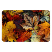 Herfstbladfotografie-Flexi-magneet Magneet (Horizontaal)