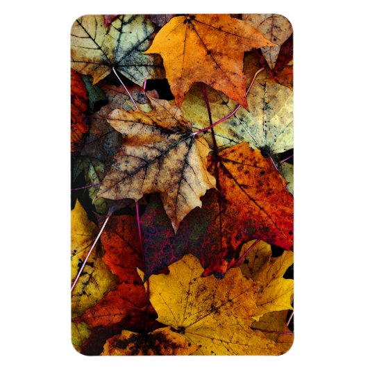 Herfstbladfotografie-Flexi-magneet Magneet (Verticaal)