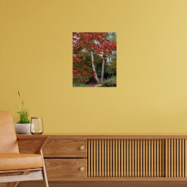 Herfstbladkleur fotografie poster