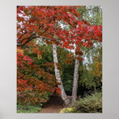Herfstbladkleur fotografie poster (Voorkant)