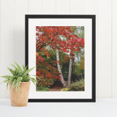 Herfstbladkleur fotografie poster