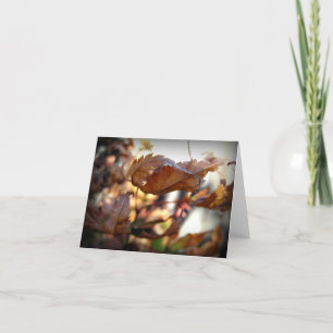 Herfstbladnotitie Kaart (fotografie)