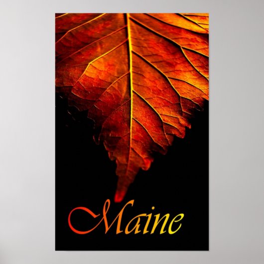 Herfstbladposter | Fall Leaf-poster Poster (Voorkant)