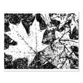 Herfstbladstempel 4x6 rubberstempel (Afrduk)