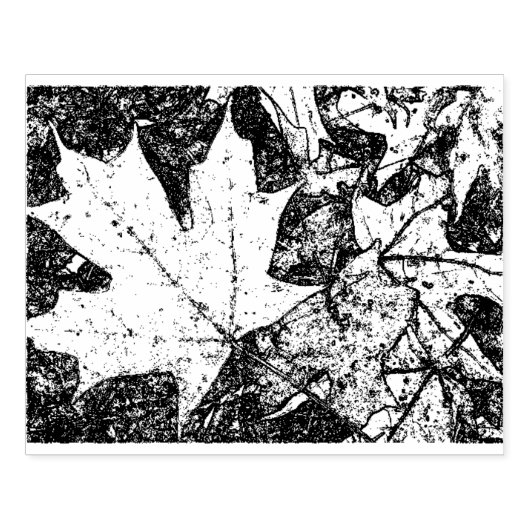 Herfstbladstempel 4x6 rubberstempel (Afrduk)