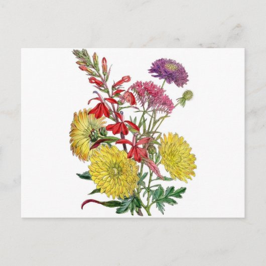  herfstbloemen briefkaart (Voorkant)