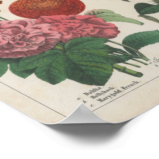 Herfstbloemen | Charlotte Mary Yonge Poster (Hoek)