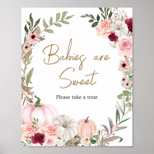 Herfstbloemen Pompoenbaby's zijn zoet Poster (Voorkant)