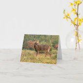 Herfstboknoot Kaart (Gele Bloem)