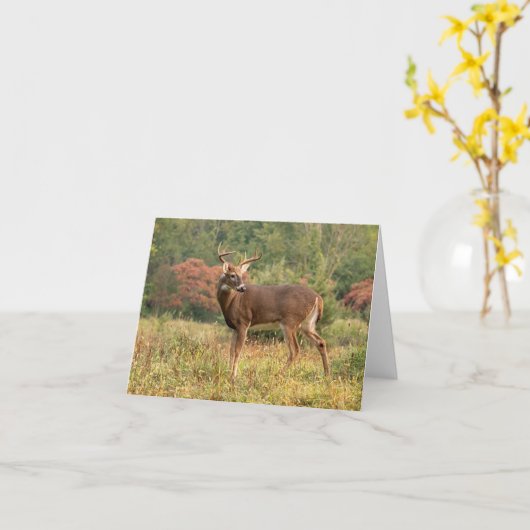 Herfstboknoot Kaart (Gele Bloem)