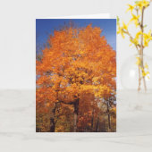 Herfstbomen1kaart Kaart (Gele Bloem)