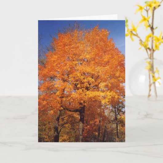 Herfstbomen1kaart Kaart (Gele Bloem)