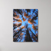 Herfstbomen bij zonsondergang canvas print (Voorkant)
