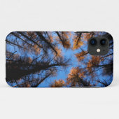 Herfstbomen bij zonsondergang Case-Mate iPhone case (Achterkant (horizontaal))