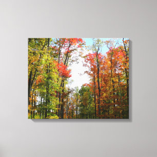 Herfstbomen en blauwe lucht Herfst Natuurfotografi Canvas Afdruk