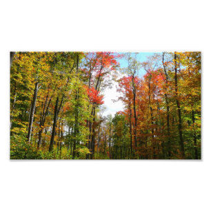 Herfstbomen en blauwe lucht Herfst Natuurfotografi Foto Afdruk