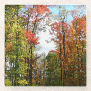 Herfstbomen en blauwe lucht Herfst Natuurfotografi Glazen Onderzetter