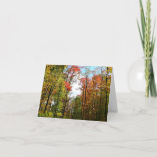 Herfstbomen en blauwe lucht Herfst Natuurfotografi Kaart