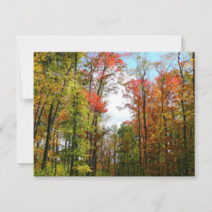 Herfstbomen en blauwe lucht Herfst Natuurfotografi Kaart