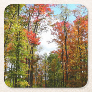 Herfstbomen en blauwe lucht Herfst Natuurfotografi Kartonnen Onderzetters