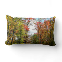 Herfstbomen en blauwe lucht Herfst Natuurfotografi