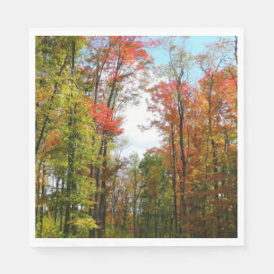 Herfstbomen en blauwe lucht Herfst Natuurfotografi Servet