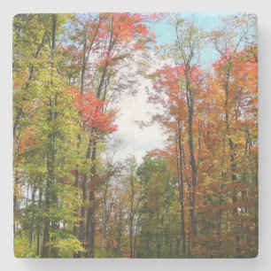 Herfstbomen en blauwe lucht Herfst Natuurfotografi Stenen Onderzetter