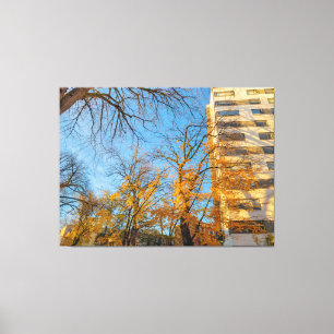 Herfstbomen en de gevel van het gebouw canvas afdruk