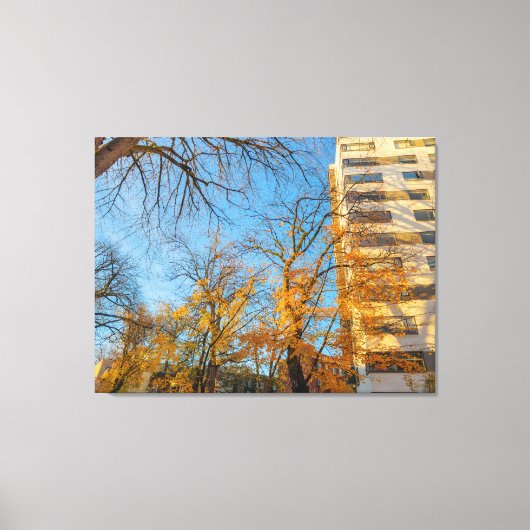 Herfstbomen en gevel van een gebouw canvas afdruk (Voorkant)