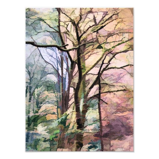 HERFSTBOMEN FOTO AFDRUK (Voorkant)