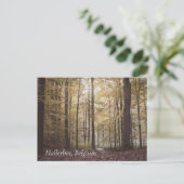 Herfstbomen, Hallerbos, België Briefkaart (Staand voorkant)