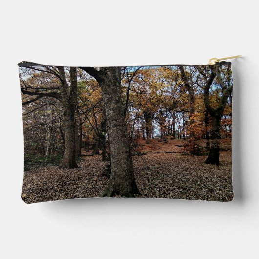 Herfstbomen, in het bos etui (Achterkant)