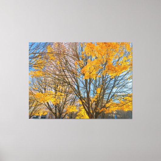 Herfstbomen in het stadsbeeld canvas afdruk (Voorkant)