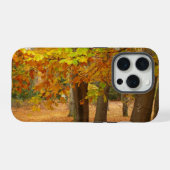 Herfstbomen iPhone Hoesje (Achterkant horizontaal)