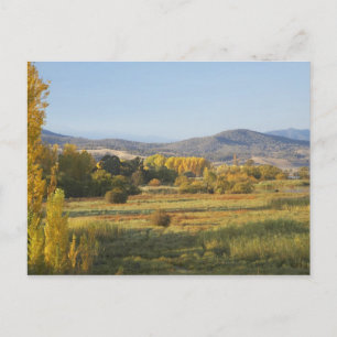Herfstbomen, Khancoban, Sneeuwgebergte, Nieuw Briefkaart