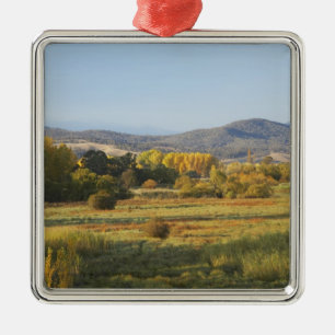 Herfstbomen, Khancoban, Sneeuwgebergte, Nieuw Metalen Ornament