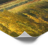 Herfstbomen, Khancoban, Sneeuwgebergte, Nieuw Poster (Hoek)