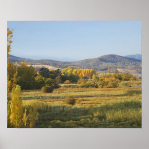 Herfstbomen, Khancoban, Sneeuwgebergte, Nieuw Poster