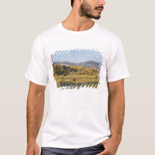 Herfstbomen, Khancoban, Sneeuwgebergte, Nieuw T-shirt