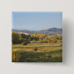 Herfstbomen, Khancoban, Sneeuwgebergte, Nieuw Vierkante Button 5,1 Cm