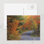 Herfstbomen langs de weg in Itasca State Park Briefkaart (Voorkant / Achterkant)